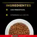 Comida para Gatos Adultos Purina Pro Plan x 7,5 kg
