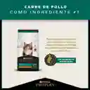 Comida para Gatitos Purina Pro Plan x 3 kg