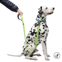 Correa Para Perro Sencilla Odye L Amarilla