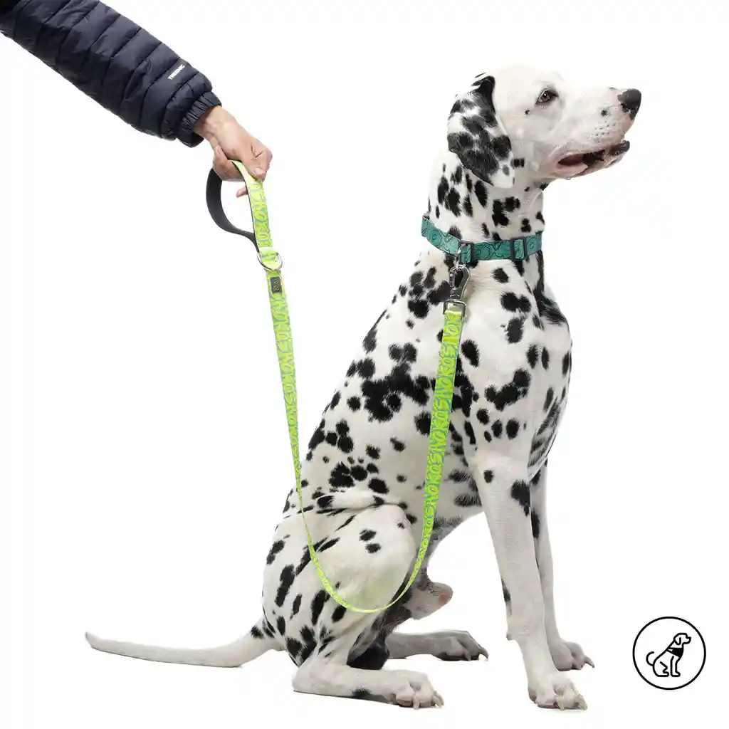 Correa Para Perro Sencilla Odye L Amarilla