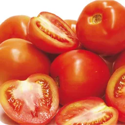 Of. Tomate Chonto