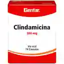 Genfar Clindamicina (300 mg)