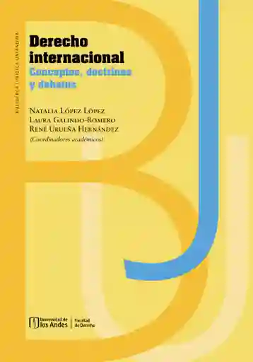 Derecho Internacional Conceptos Doctrinas y Debates