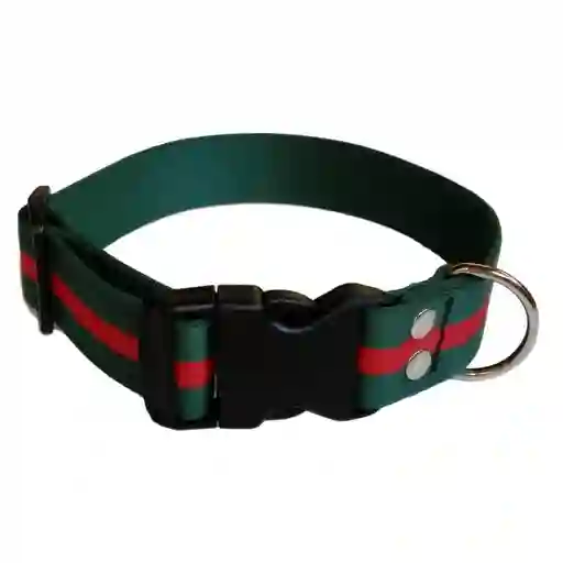 Collar Pequeño para Perro Éxito