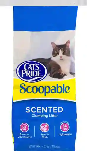 Cats Pride Arena para Gato Scoopable