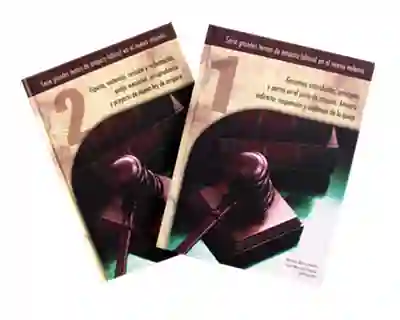 Serie Grandes Temas de Amparo Laboral en el Nuevo Milenio