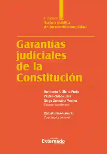 Garantías Judiciales de La Constitución Tomo Ii