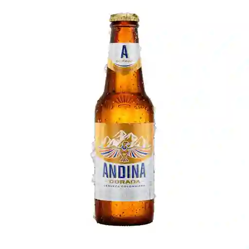 Cerveza Botella Unidad Andina