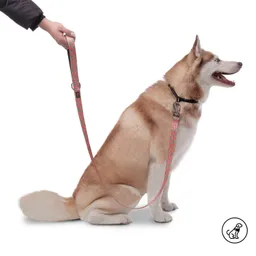 Correa Para Perro Odye Rosada