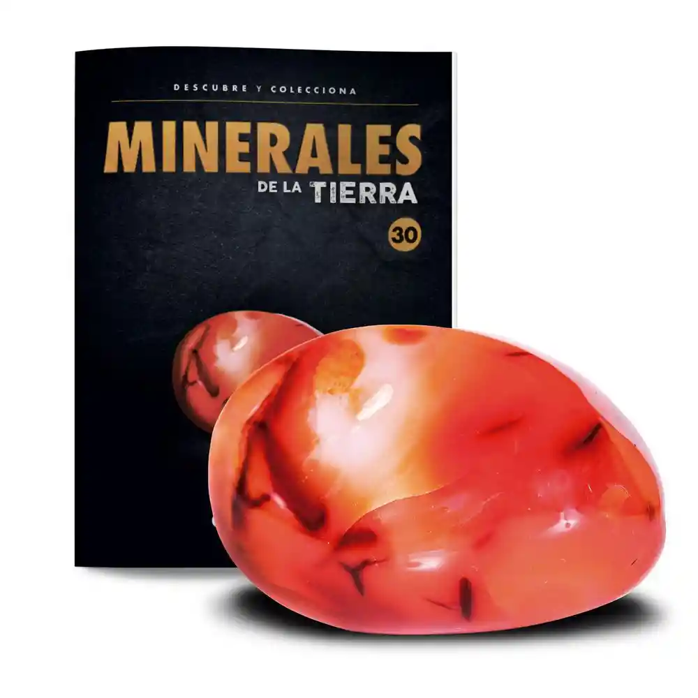 Mineral T30 Carneola El Tiempo 700005805