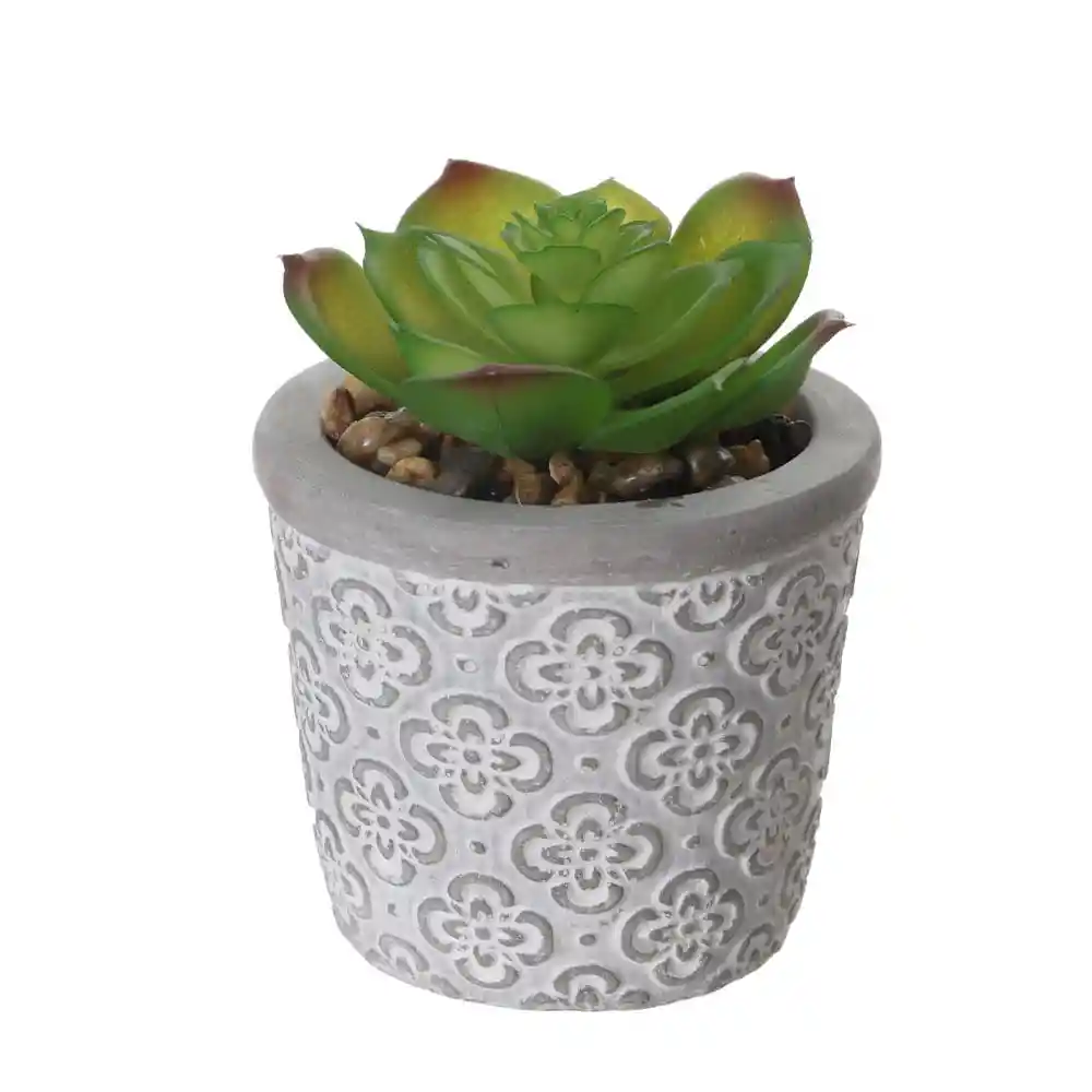 Suculenta Krea Textura Casa Calma