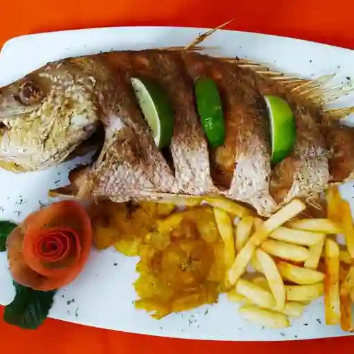 Pargo Rojo de 900gr