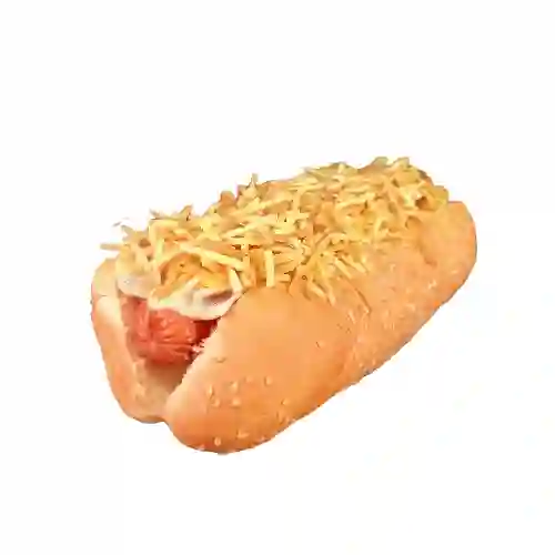 Perro sencillo