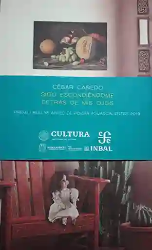 Sigo Escondiéndome Detrás de Mis Ojos - César Cañedo
