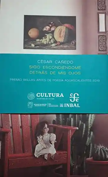Sigo Escondiéndome Detrás de Mis Ojos - César Cañedo