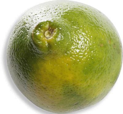 Naranja Tangelo Mineola aprox. 360 g