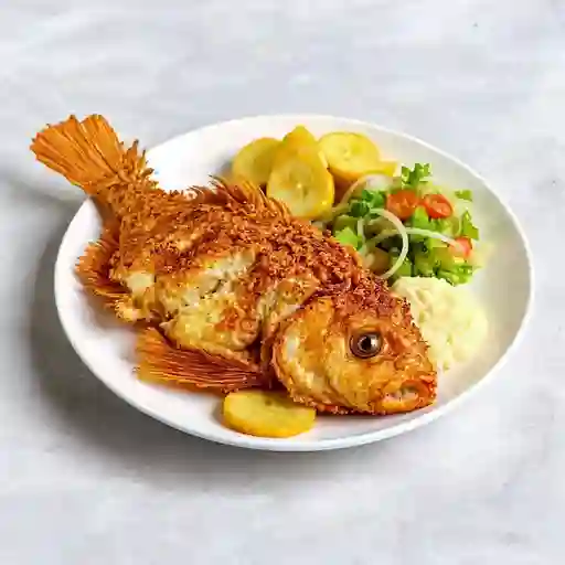 Pargo Frito