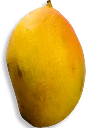 Mango Kent a Granel