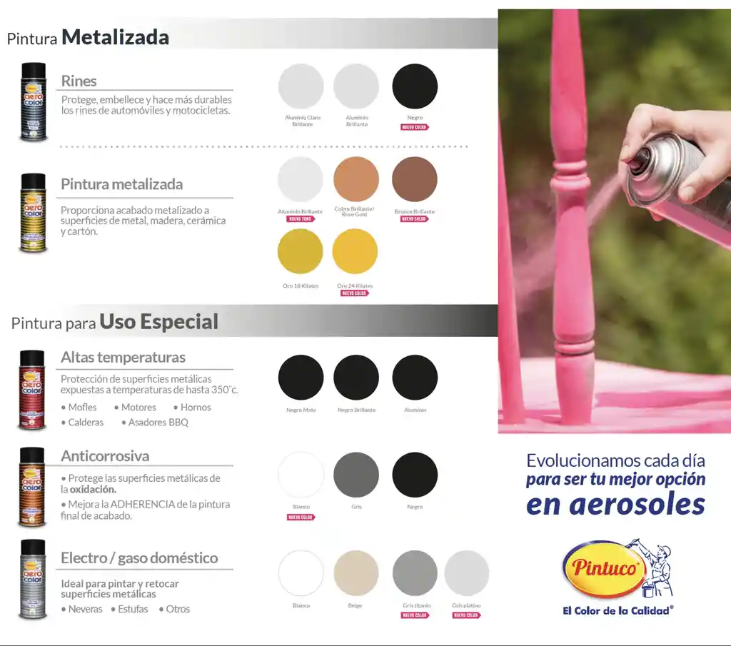 Aerocolor Pintura Negro Mate