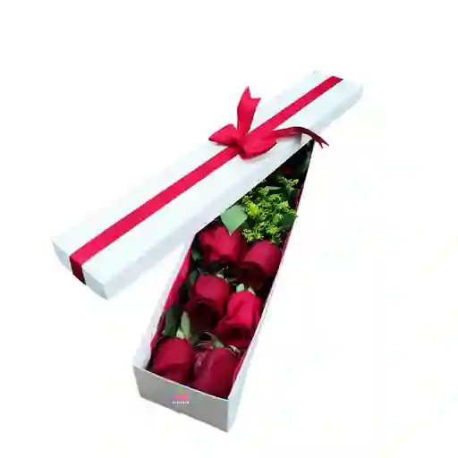 Caja blanca con 6 unidades de Rosa 