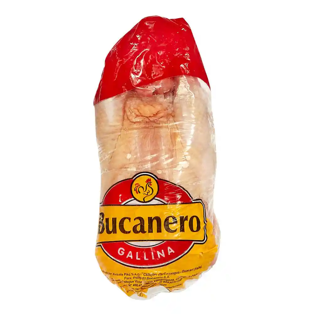 Bucanero Gallina Mediana