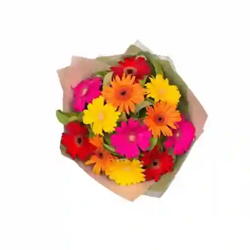 Bouquet De Gerberas X 12 - Flores Y Rosas