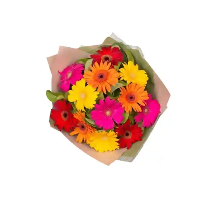 Bouquet De Gerberas X 12 - Flores Y Rosas