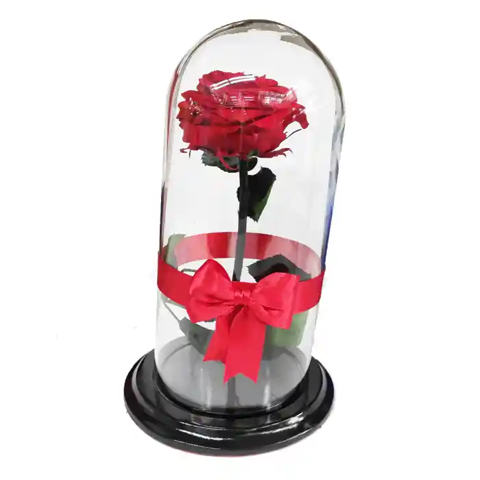 Rosa preservada Roja en Urna de Cristal