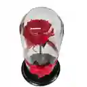 Rosa preservada Roja en Urna de Cristal