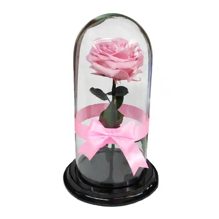 Rosa Preservada Rosada en Urna de Cristal