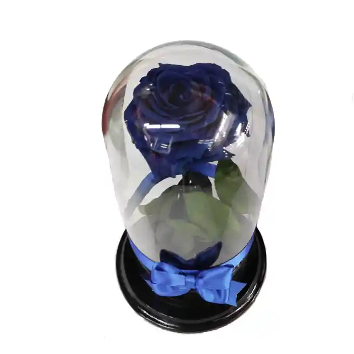 Rosa Preservada  Azul Noche