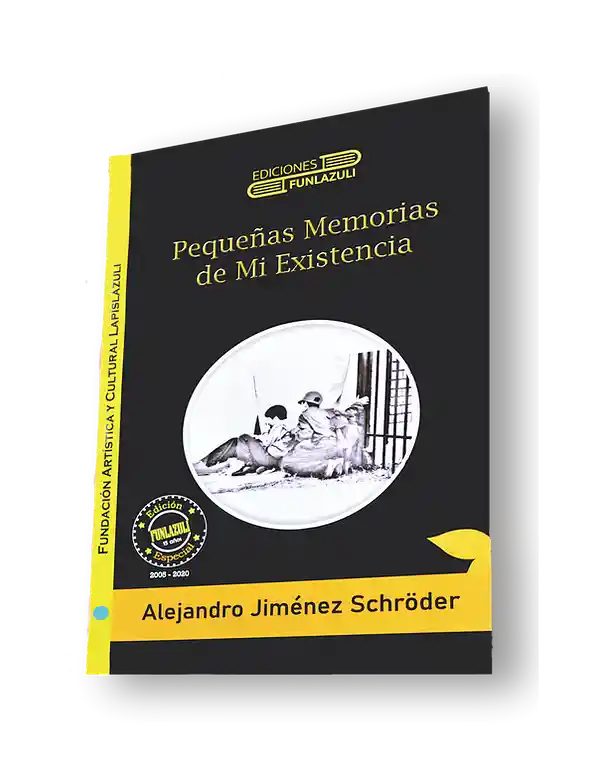 Pequeñas memorias de mi existencia