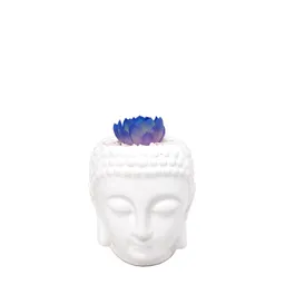 Buddha Con Suculenta De Color Azul