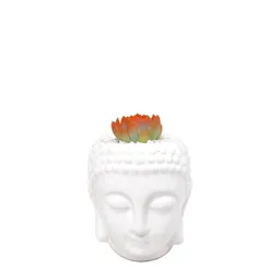 Buddha Con Suculenta De Color Naranja