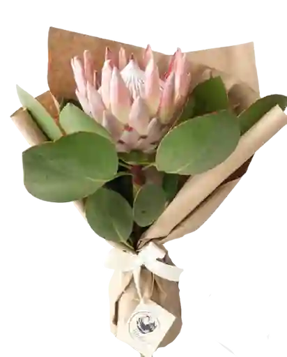 Protea King