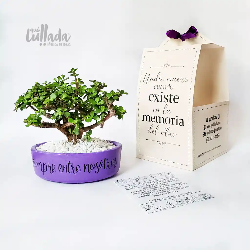 Bonsai De Condolencias