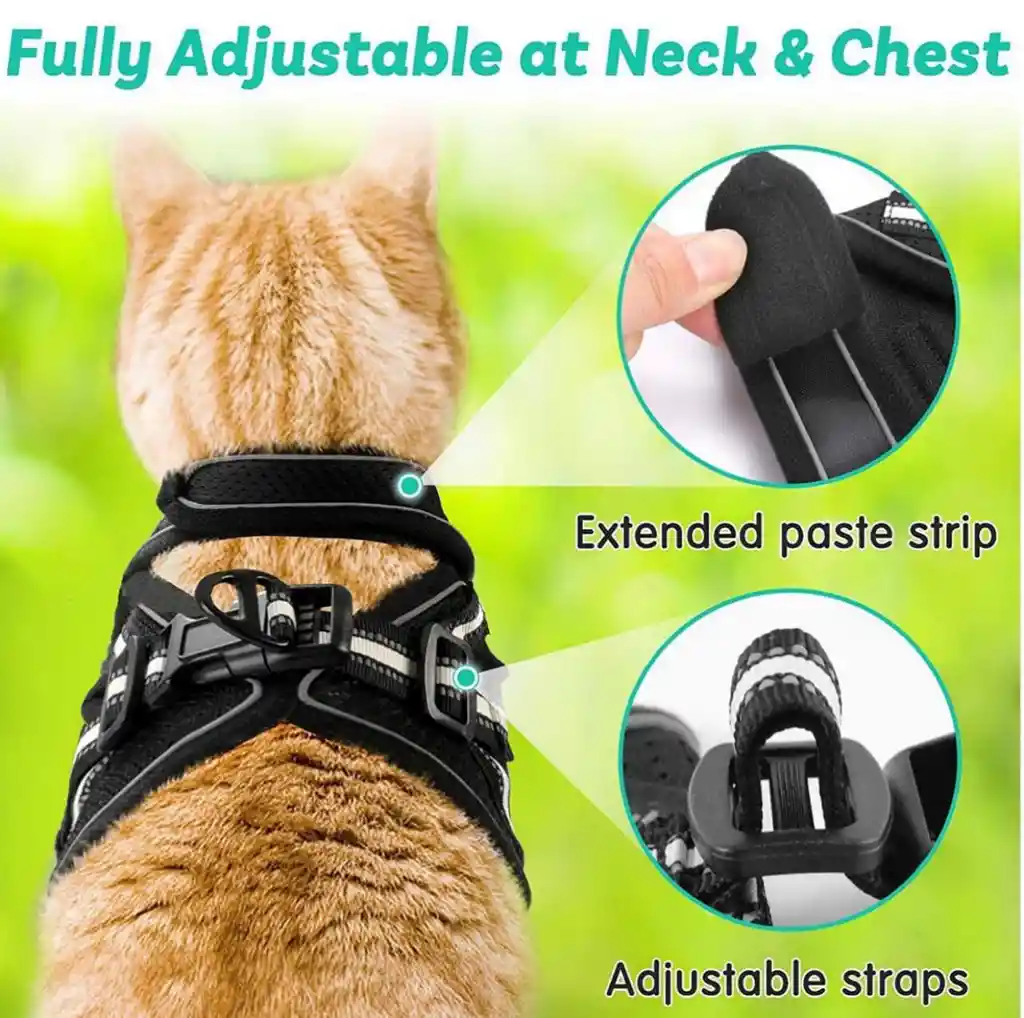 Harness antiahogo Gatos 🐱