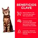 Hills Science Plan Light Alimento Gatos Adultos Pollo 7Lb