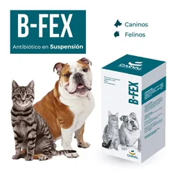 B-Fex B- Frasco X 60 Ml