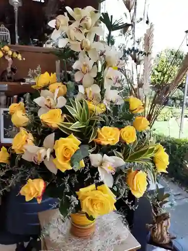 Orquidea Base Acuarela S Y Rosas