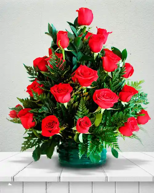  Rosas rosa x 48