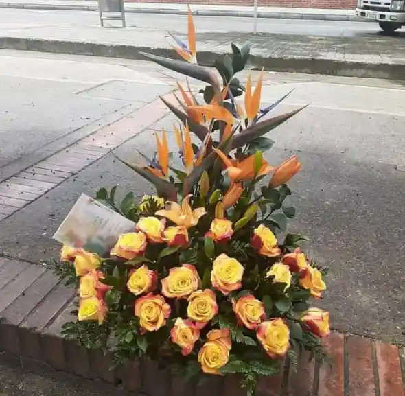 Rosas de ensueño 24 rosas amarillas 1 lirio naranja más 5 aves