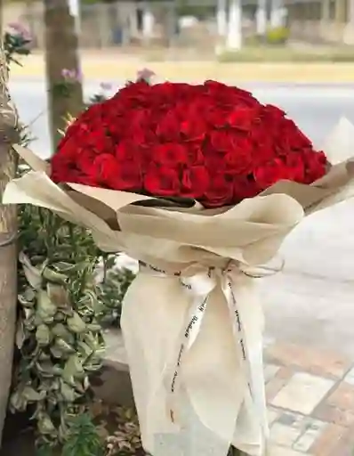 Bouquet casate conmigo 300 rosas  en papel seda y craff