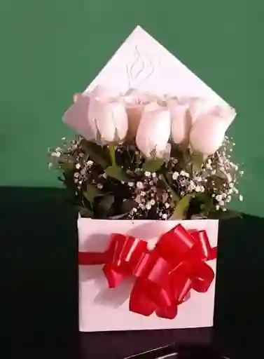 Caja paz vienen 12 rosas blancas