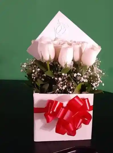 Caja paz vienen 12 rosas blancas