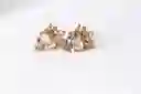 ARETE ACERO CORONA CIRCON