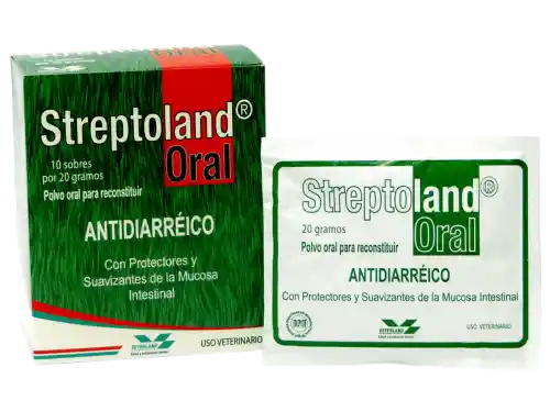 Streptoland Oral Sobre 20 g