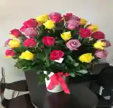 ARREGLOS X 50 UNIDADES DE ROSAS MULTICOLOR EN BASE DE PLASTICO