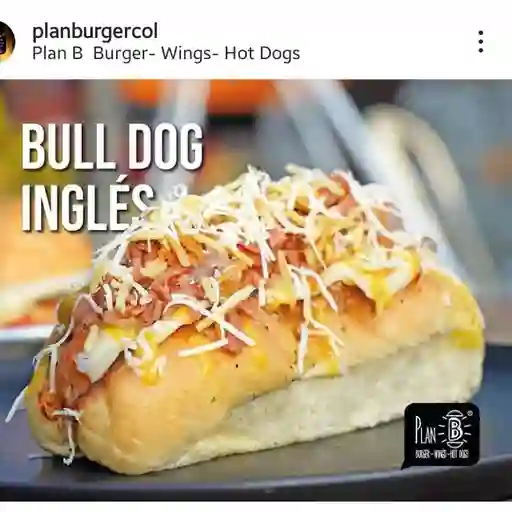 Ingles bulldog