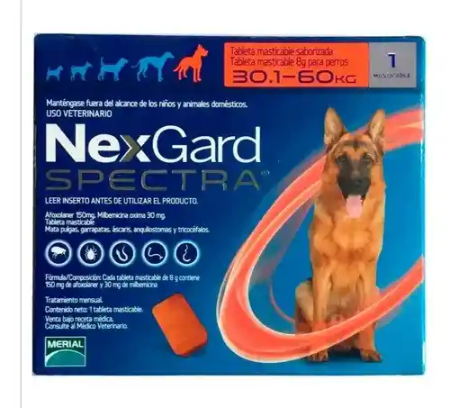 Nexgard Spectra + 30 KG